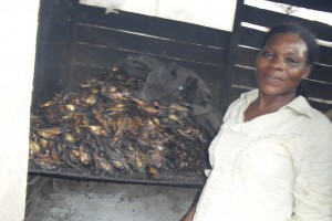 Smoked fish in Cameroon (PHOTO: ClimateReporters/Aaron Kaah)