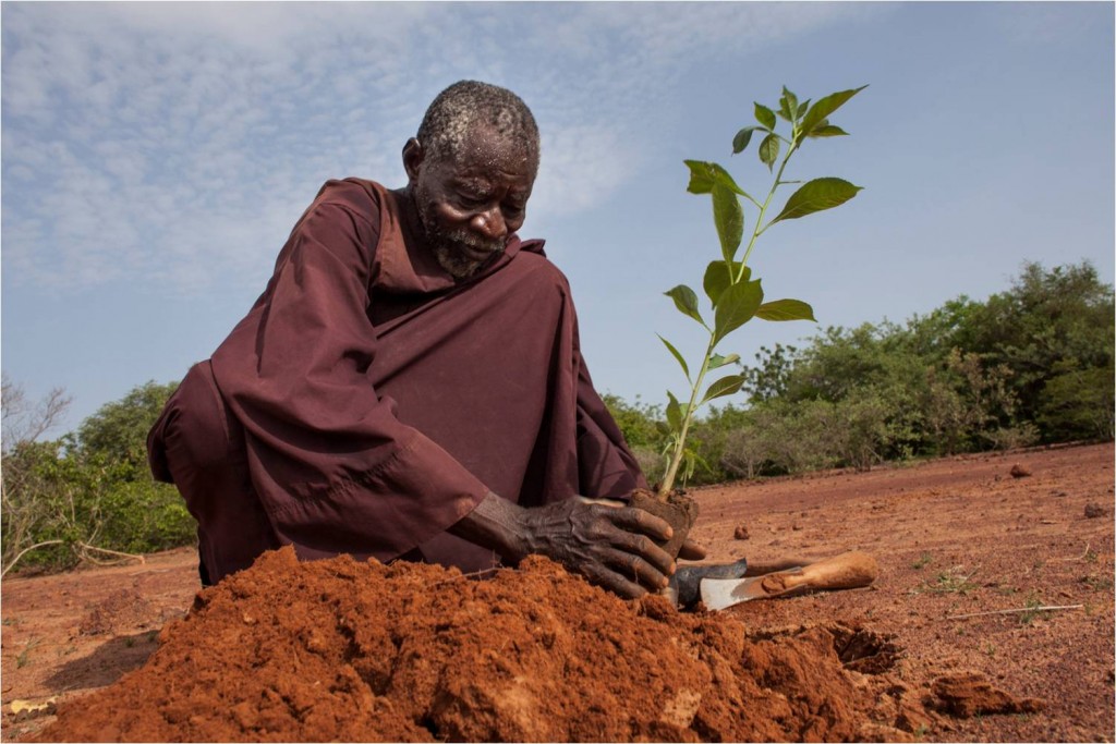 Yacouba Sawadogo, the man who stopped the desert