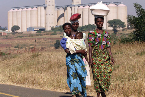 Grain silos in Malawi (PHOTO: UN)
