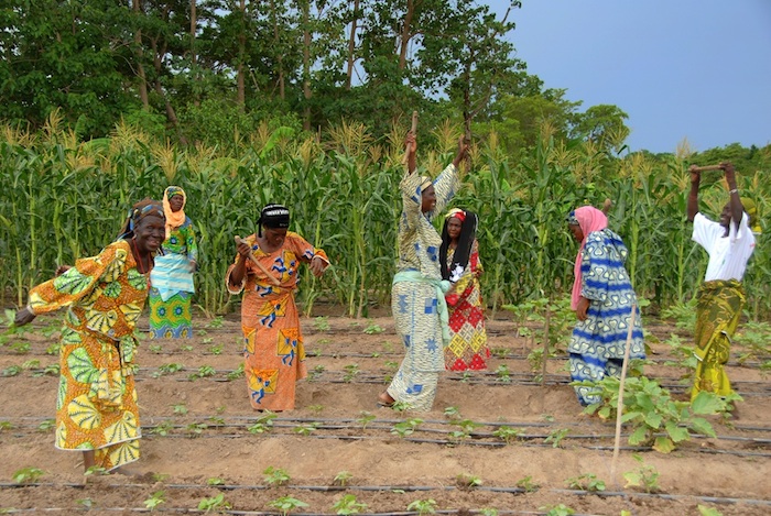 The project Scaling the Solar Market Garden in Benin; 2015 Winner of UN Climate Change Solutions Award. (PHOTO: UN)