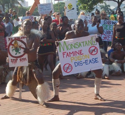 Using culture to kick against Monsanto