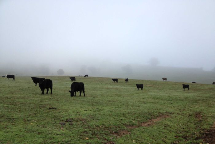 Landcare helps farmers reduce green house gases