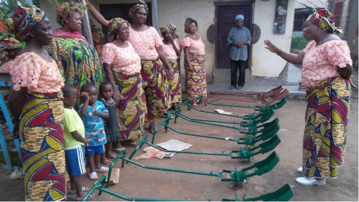 Training women rice farmers on how to use weeders on thier farms in Ndop, Cameroon. (PHOTO: ClimateReporters/Elias Ntungwe)