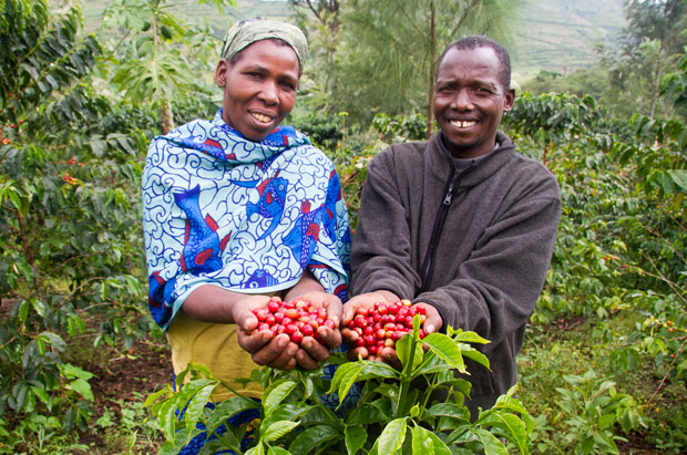 A Fresh Approach for Smallholder Coffee Farmers (PHOTO: Technoserve)