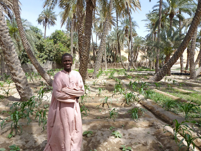 Les agriculteurs africains doivent travailler ensemble pour trouver des solutions