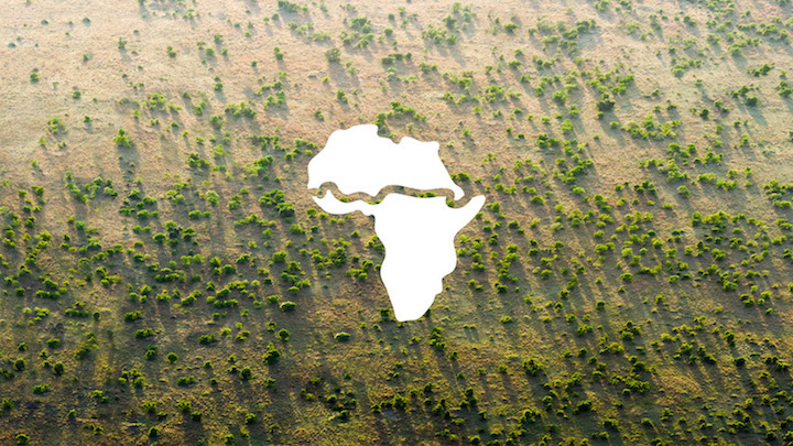 The Great Green Wall Project