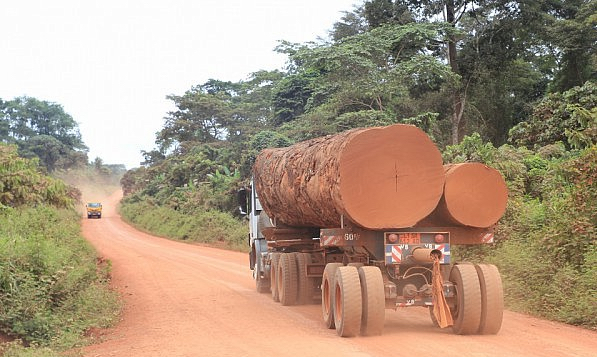 Trucks in Cameroon ferry timber to Douala seaport for export on a daily basis (PHOTO: Elias Ntungwe)