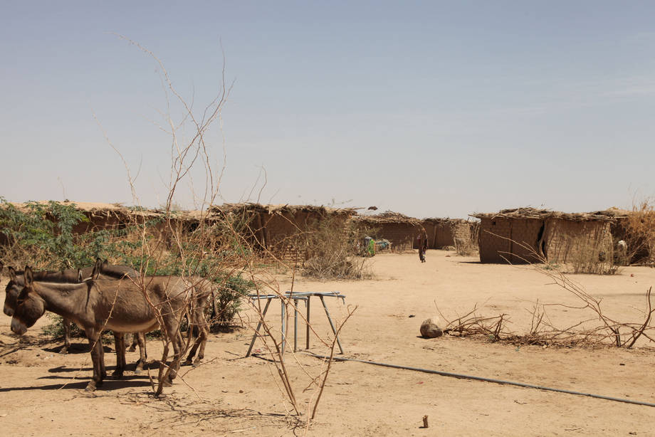 A village in Ethiopia weathers the drought. (PHOTO: FAO)