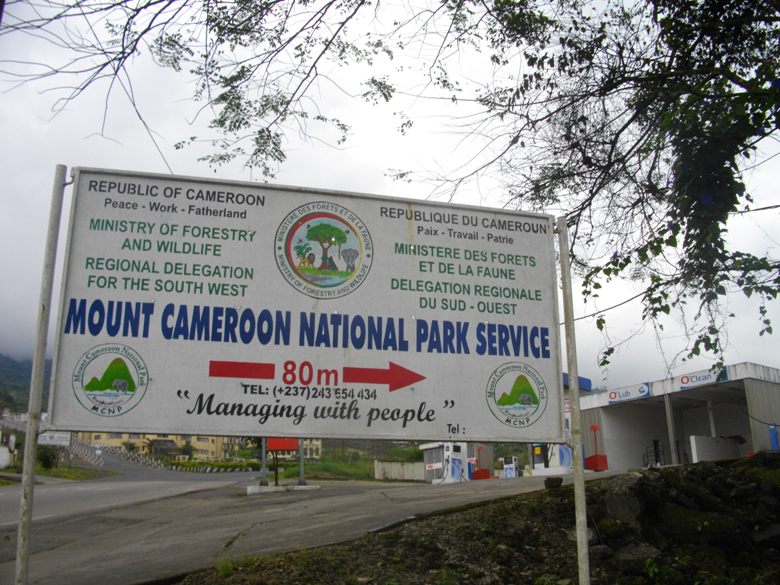 Mount Cameroon National Park Service (PHOTO: ClimateReporters/Elias Ntungwe)