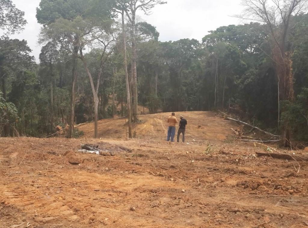 Highway through the forest (PHOTO: Heinrich Boll Stiftung Nigeria)