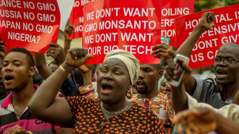 Civil society demonstration against GMOs in Nigeria (PHOTO: change.org)