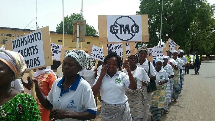 A demonstration against GMOs by women