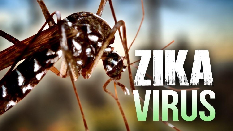 Zika virus