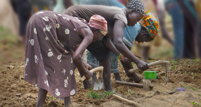 women working in a field in the Bolgatanga area, Northern Ghana