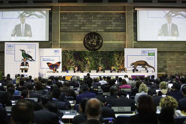 UNEA-3 Opening plenary