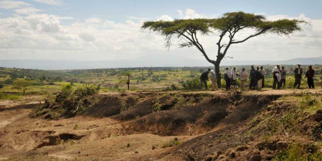 The African Forest Landscape Restoration Initiative 