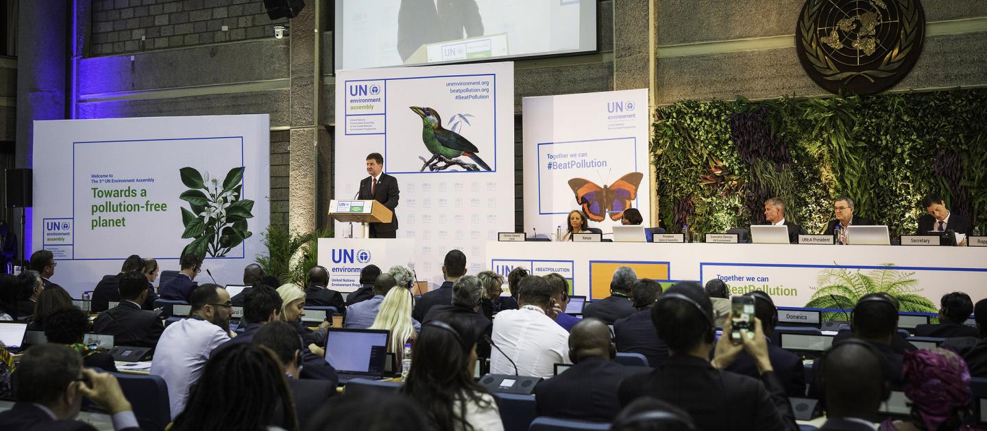 UNEA-3's Opening plenary 