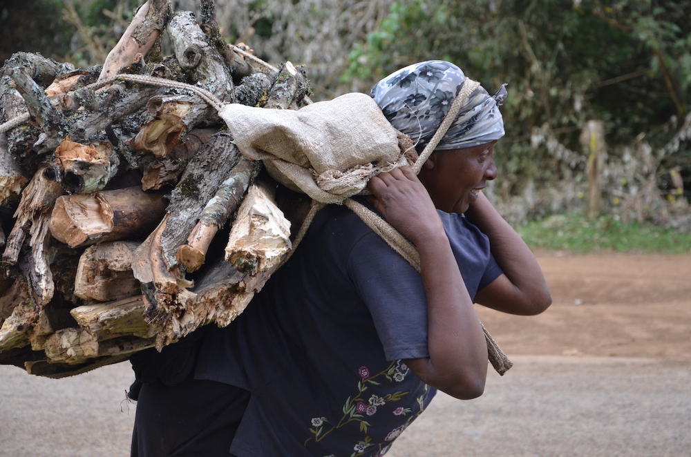 An African woman bearing the burden of energy poverty (PHOTO: World Agroforestry Centre)