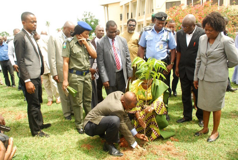 Deputy Governor of Osun state, Southwest Nigeria planting a tree in commemoration of the programme