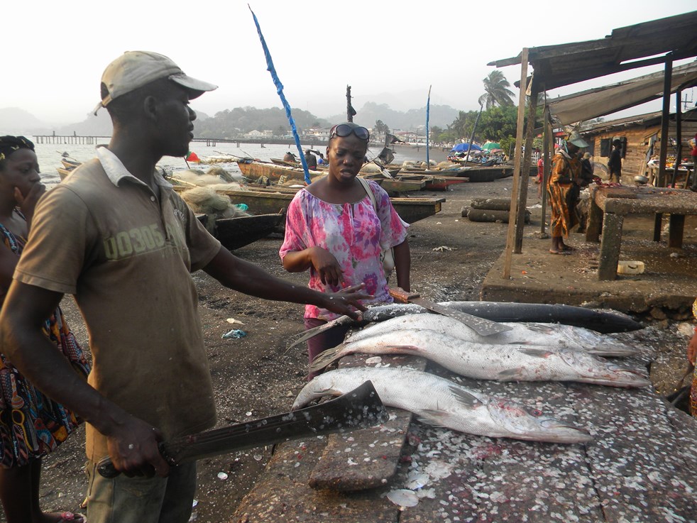 Local fisherman selling fish at Limbe beach (PHOTO: ClimateReporters/Elias Ntungwe)