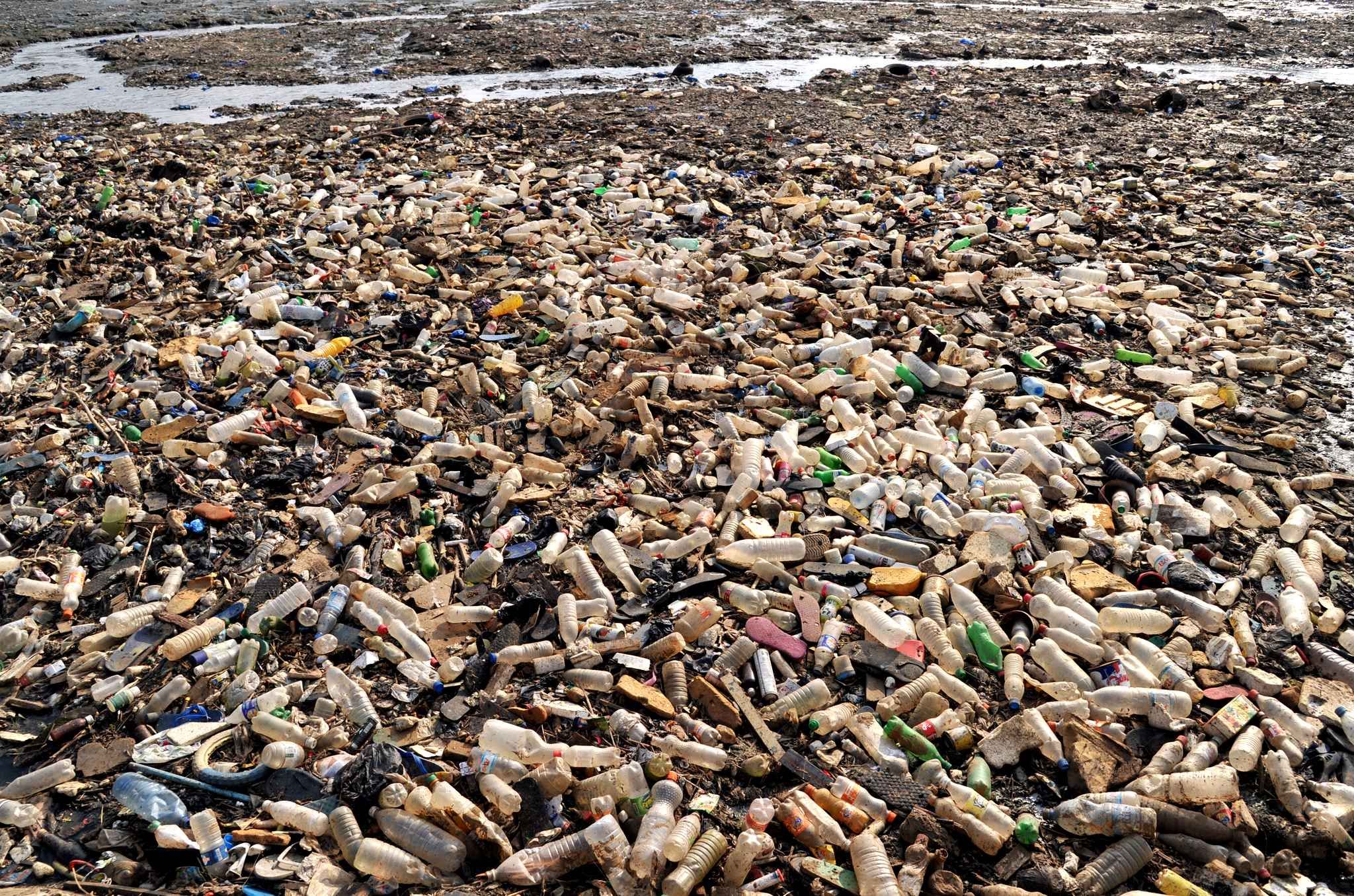 Le 2 septembre, à Abidjan les égouts qui donnent sur un lagon sont pollués par des bouteilles plastiques.