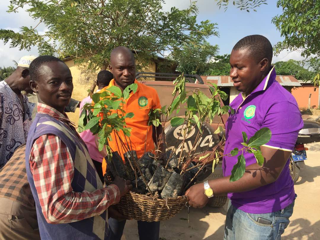 Centre for Climate Change and Food Security at Timeabu (PHOTO: ClimateReporters/Kofi Adu DOmfeh)