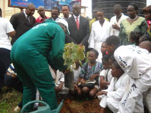 Students learning tree planting in Yaounde (PHOTO: Elias Ntungwe)