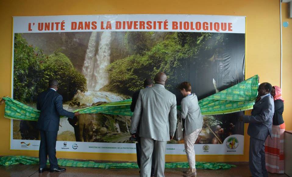 Posters relaying biodiversity and environmental protection messages in Cameroon's two main airports of Douala and Yaounde posted for the first time (PHOTO: Elias Ntngwe)