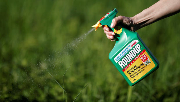 La marque d’herbicitide Roundup de Monsanto