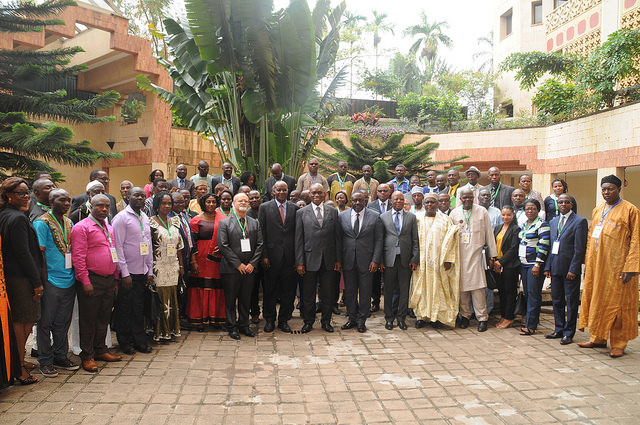 Cross-section of the participants from Central and West Africa