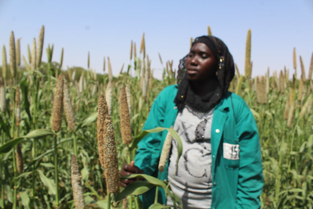 Visite au Centre de recherche au Sénégal