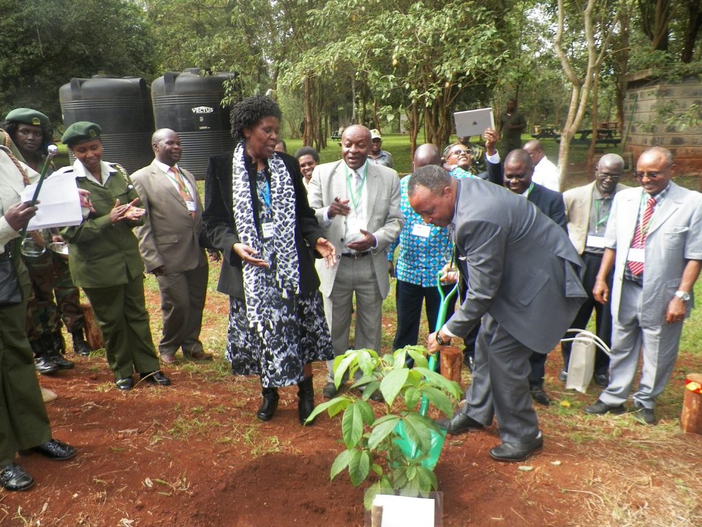 Planting of trees and animation at celebrations marking 10th Anniversary of AFF