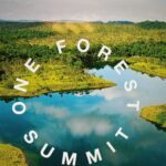 le logo de One Forest Summit