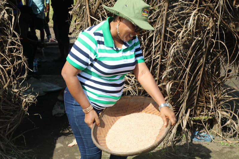 Hon. Theresa Dick, the Deputy Minister of Agriculture and Food Security, during a harvest in a rice field in Sierra Leone